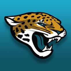 TicketManager partners with the Jacksonville Jaguars to Help Manage Tickets and Suites For The Team and its Customers